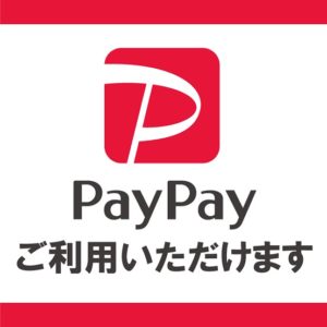 VIBESRECORDSでのお買い物でPayPayがご利用いただけます。